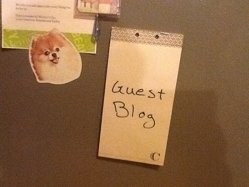 Benefits of Guest Posting