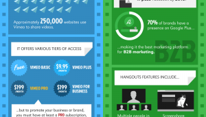 The social Media Video Infographic
