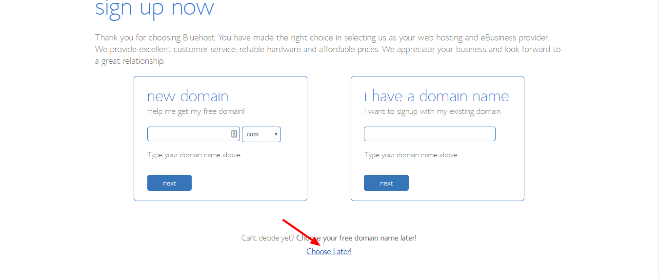 bluehost dicount promo- choose domain name