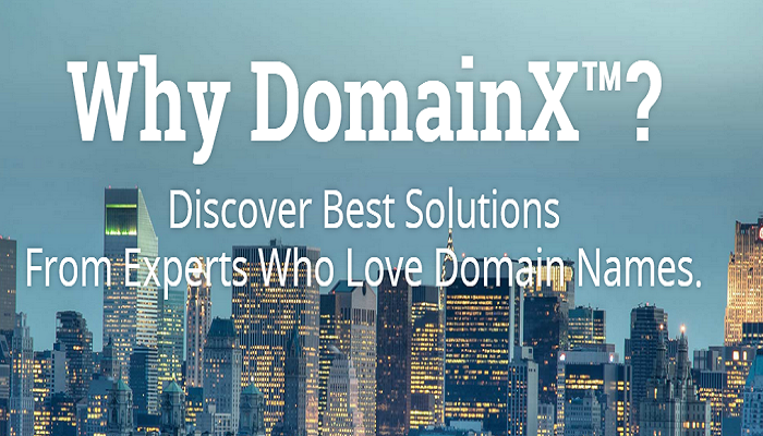 DomainX™ 2015 Conference   Bangalore  India Experience