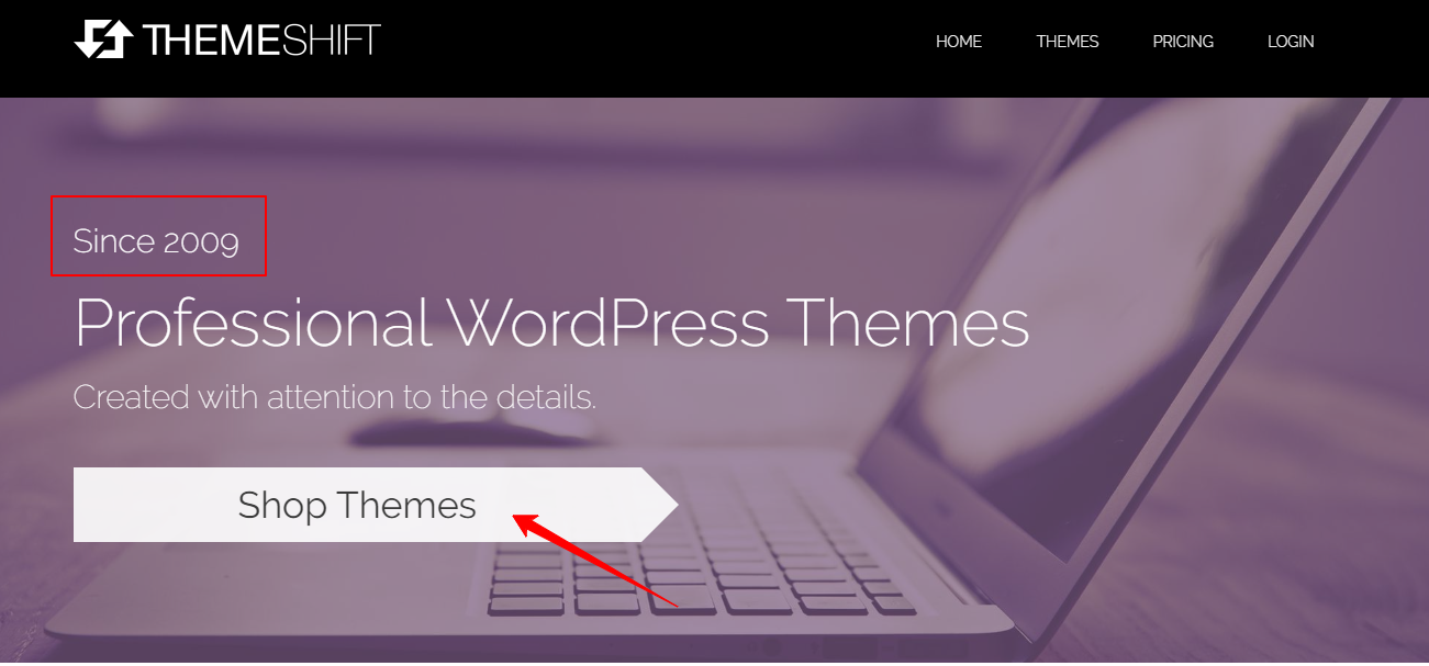 Premium Responsive WordPress Themes- ThemeShift Black Friday
