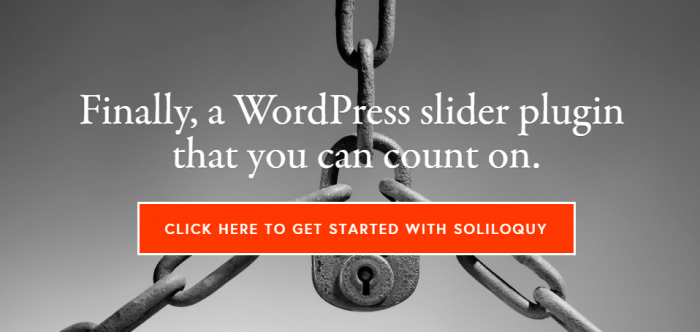 Soliloquy   Best Responsive WordPress Slider Plugin