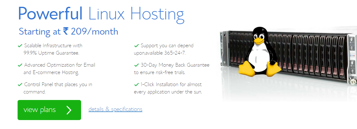 hosting linux bluehost