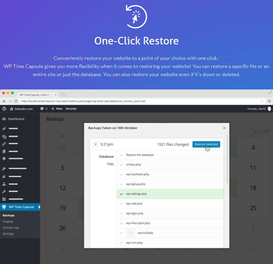 WP Time Capsule Review- Feature One-Click Restore