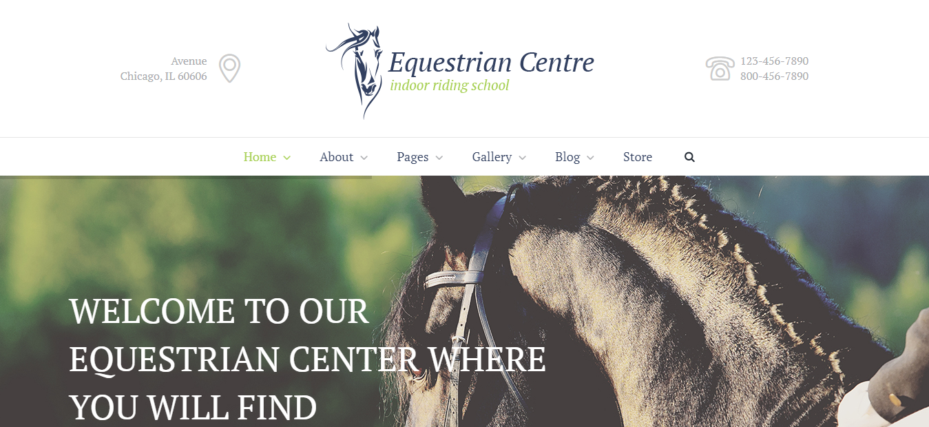 Equestrian Centre - WordPress Sports Theme For Club