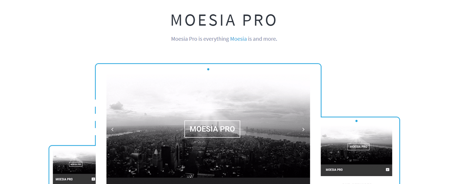 Moesia Pro- WordPress Business Themes
