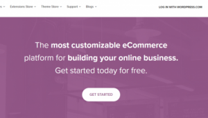 WooCommerce Coupon Codes - The Best WordPress eCommerce Platform