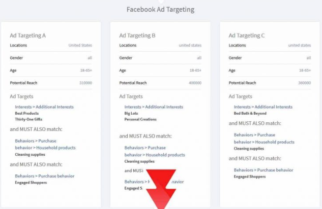review for Uduala facebook Ad targeting