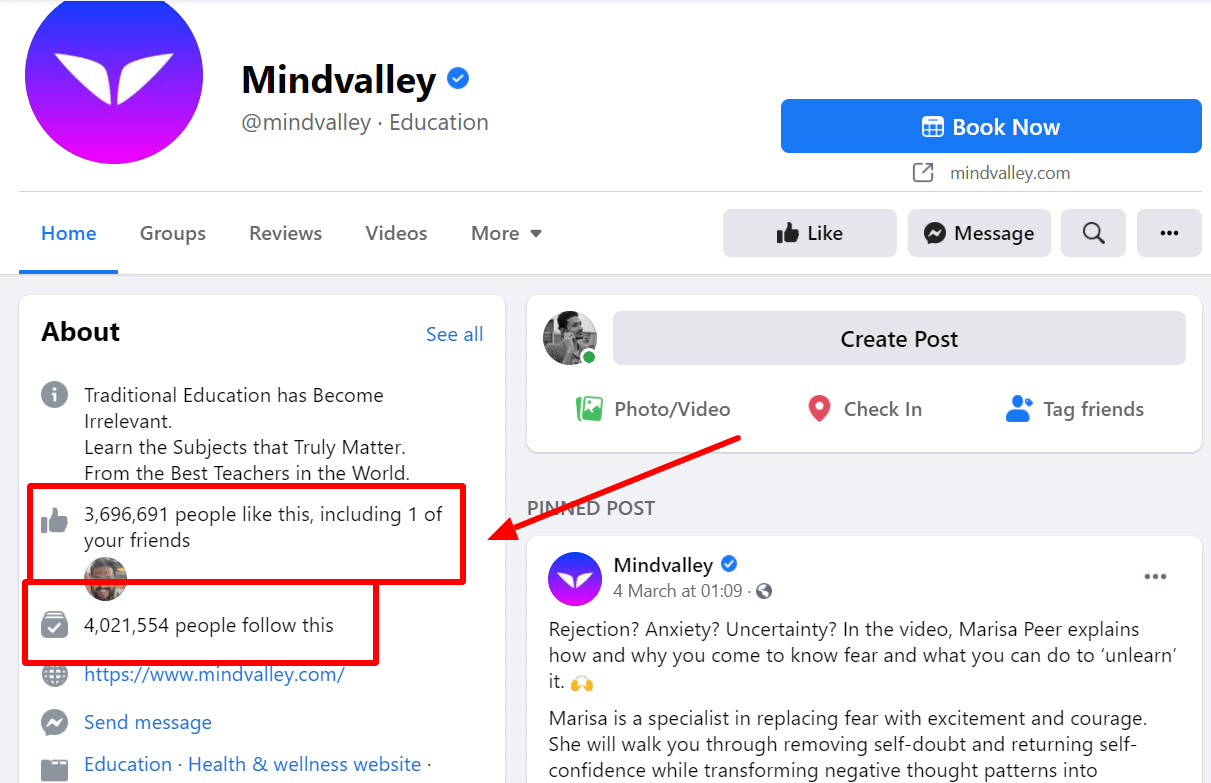 Mindvalley Facebook Page Likes