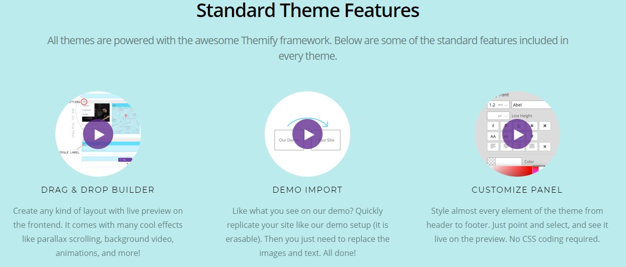 Themify Features