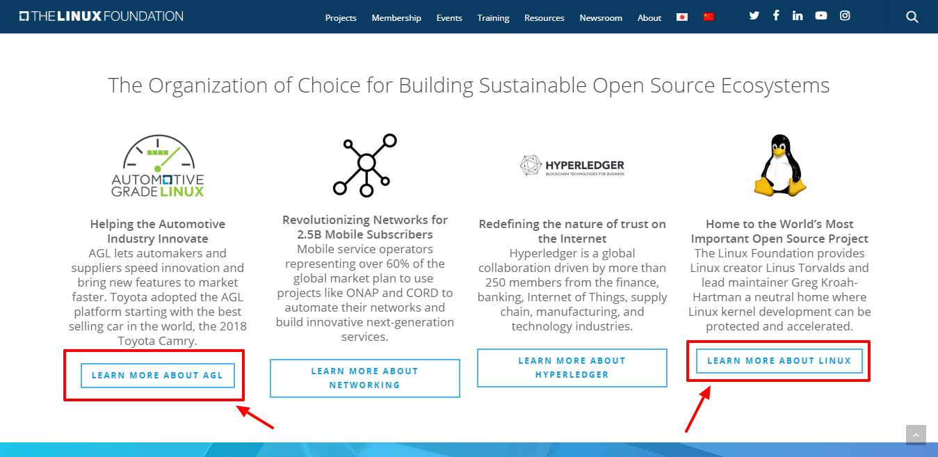 Linux Foundation Review - building sustainable