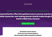 Surfer SEO FAQs 2023 : What Users Mostly Ask ?