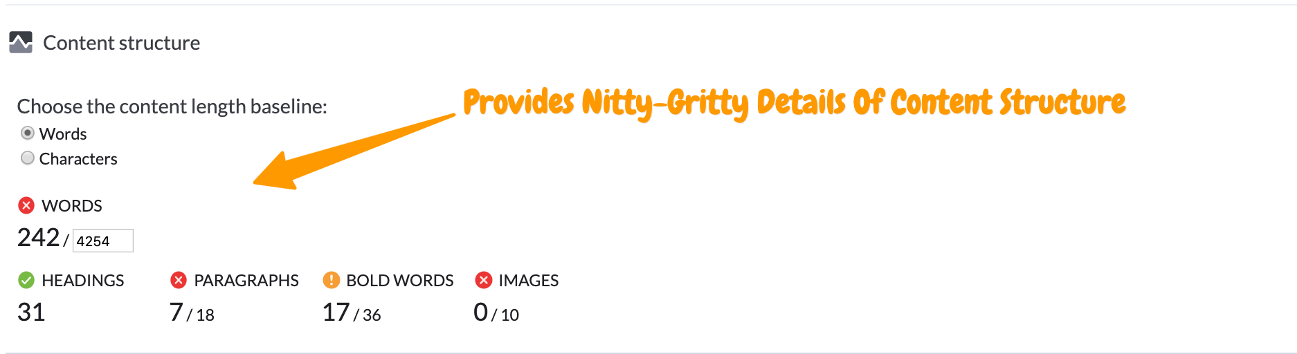 Surfer SEO nitty gritty details