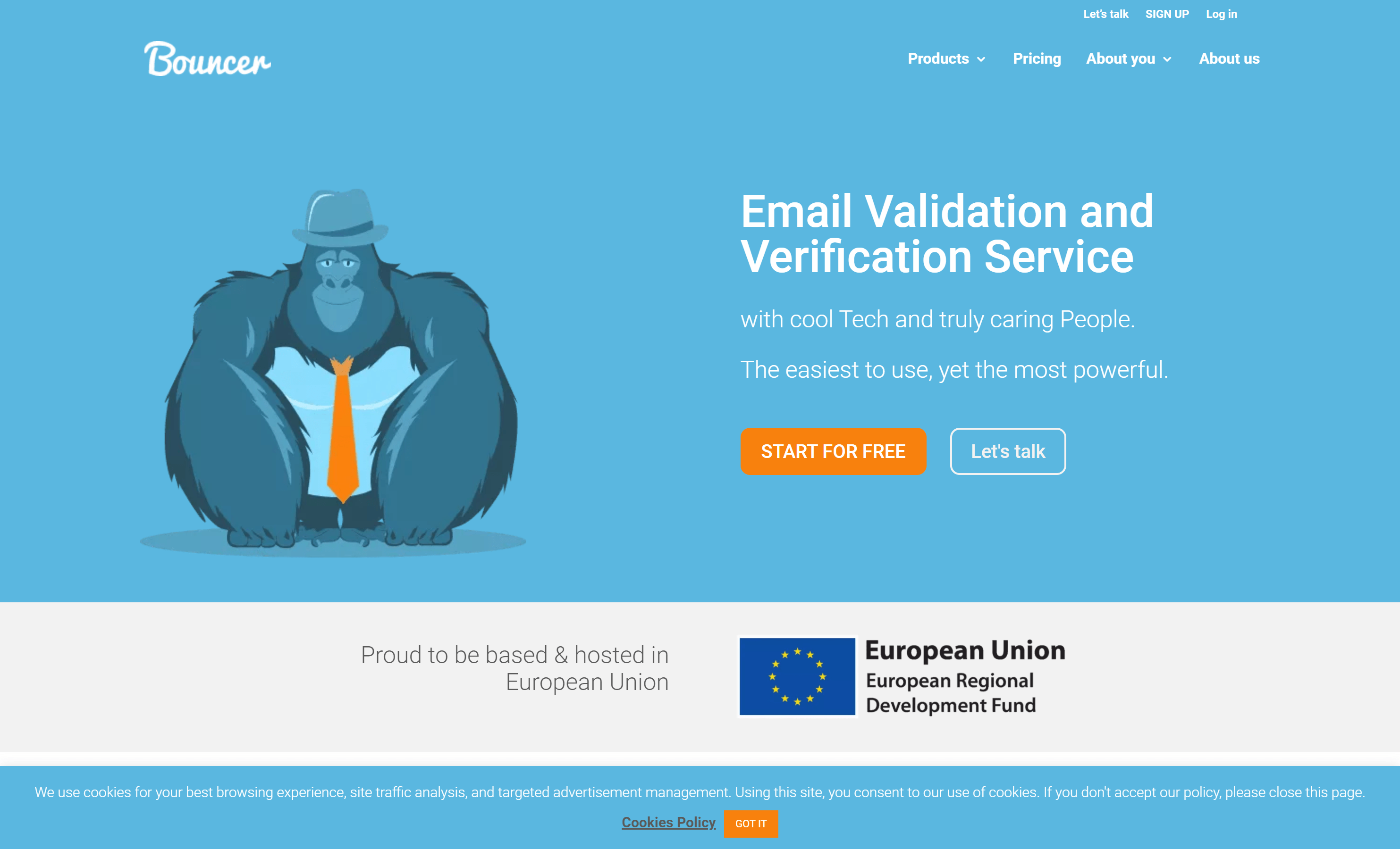 Bouncer email verification software review