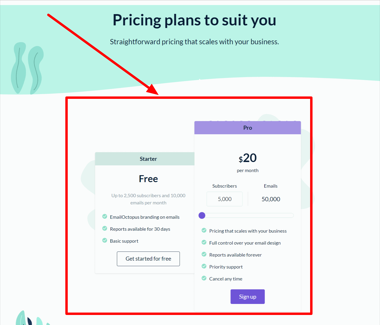 Pricing – Emailoctopus Review