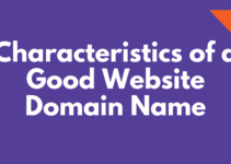 Top 10 Characteristics Of A Good Website Domain...
