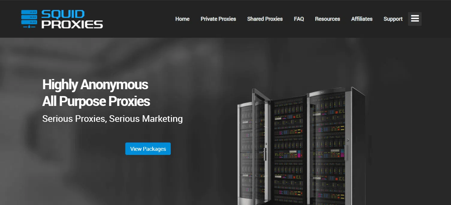 Squid Proxies homepage