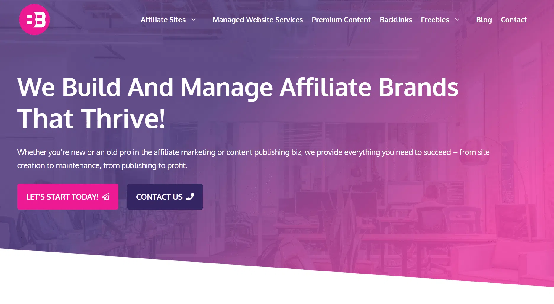 Brandbuilders review: Done-For-You Amazon Affiliate Websites