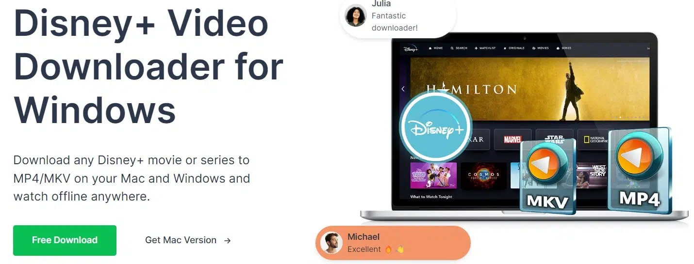 Pazu Disney+ Video Downloader Review