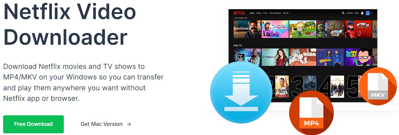 Pazu Netflix Video Downloader Review