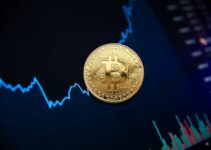 Top 5 Tips Every Bitcoin Investor Must Know 2023