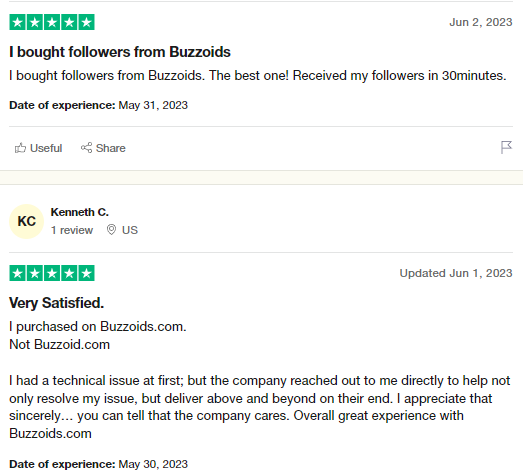 Buzzoid Customer Review