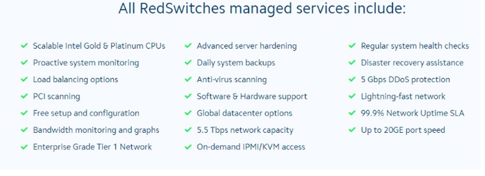 RedSwitches Fully Managed Dedicated Servers