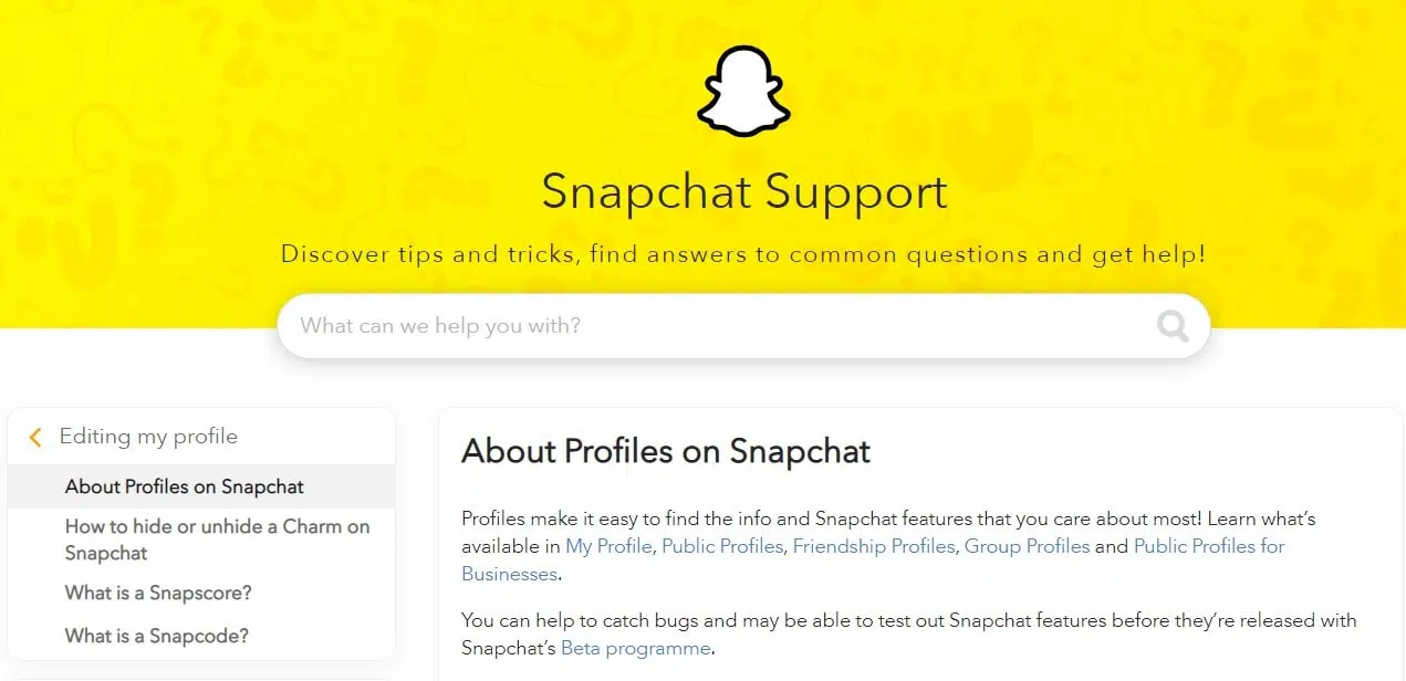 Snapchat's Public Profile Features