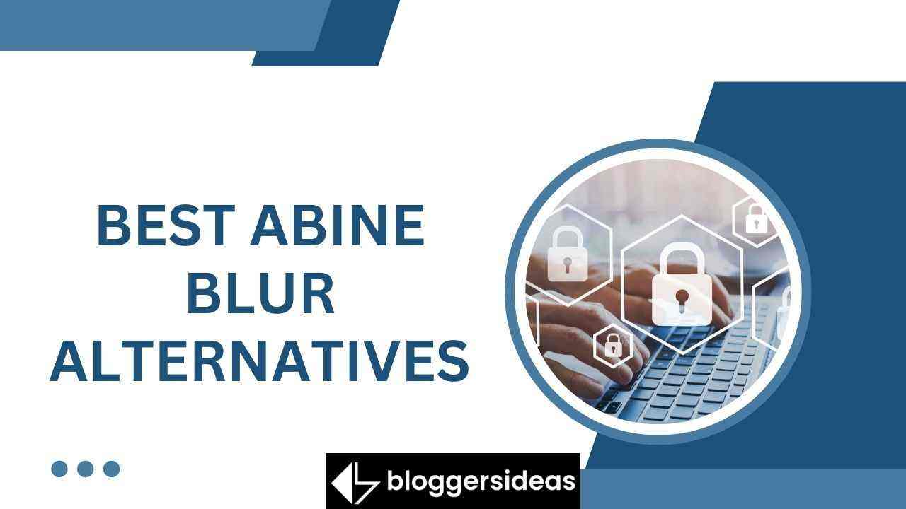 Best Abine Blur Alternatives