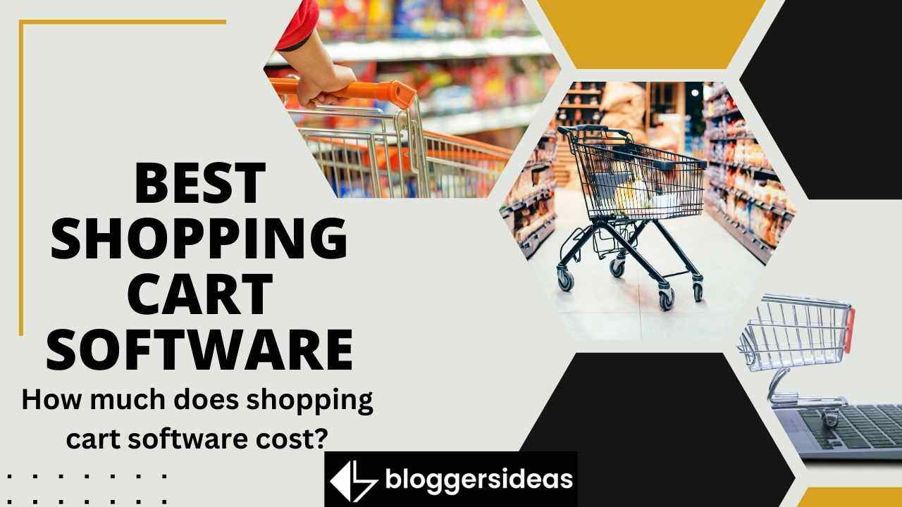 Best Shopping Cart Software