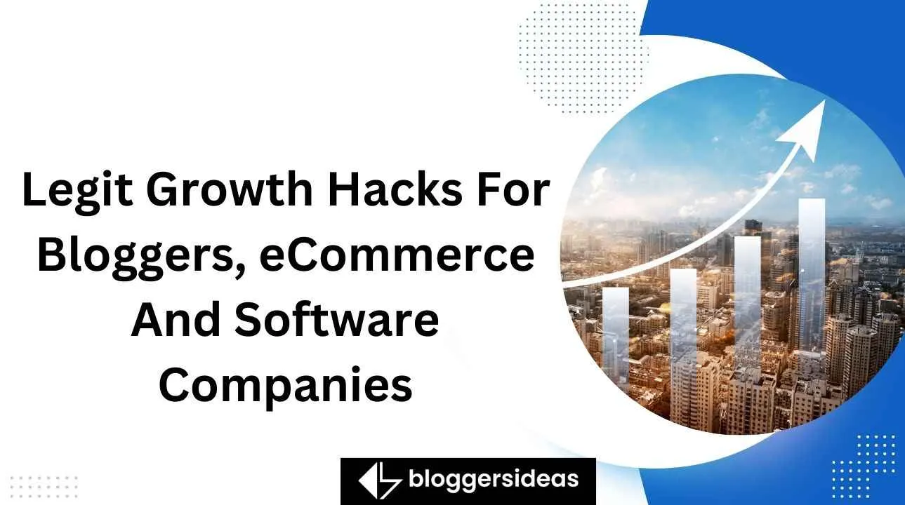 Legit Growth Hacks For Bloggers, eCommerce And Software Companies