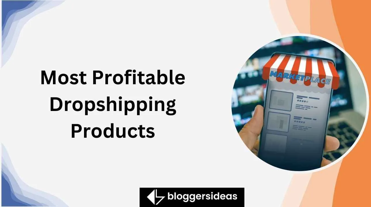 Most Profitable Dropshipping Products