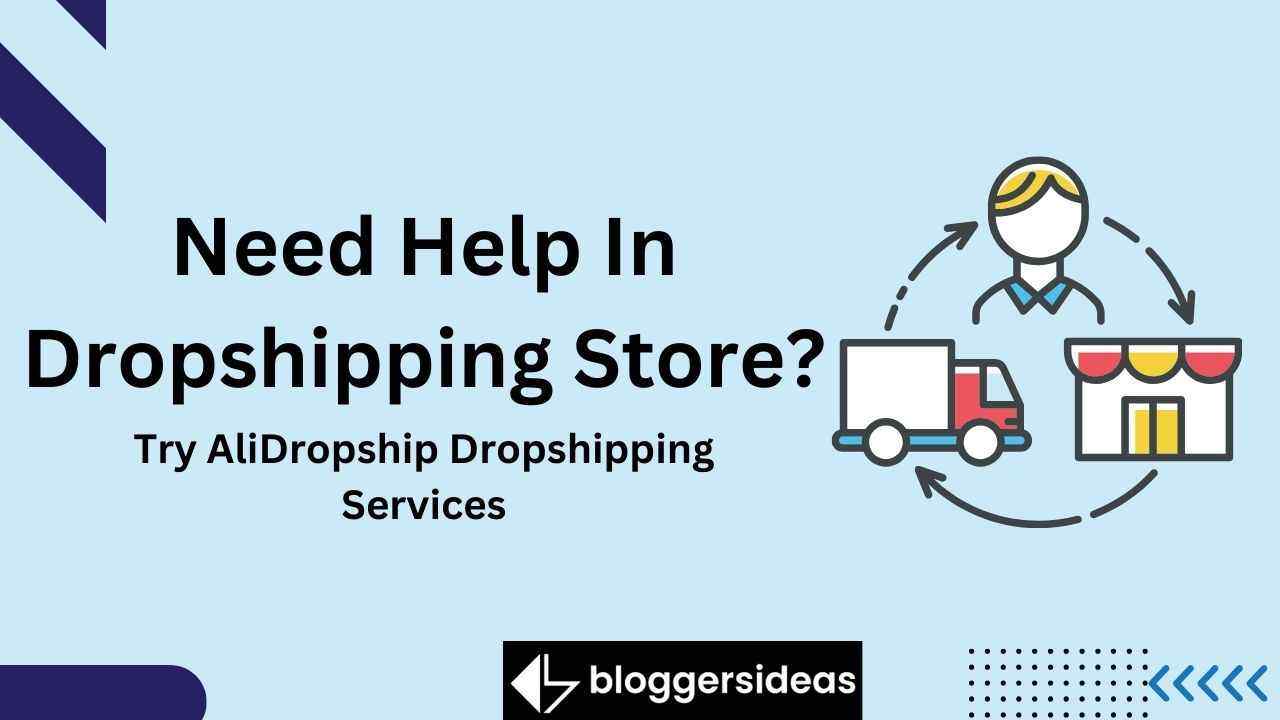 Need Help In Dropshipping Store Try AliDropship Dropshipping Services