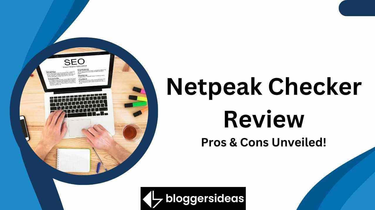 Netpeak Checker Review
