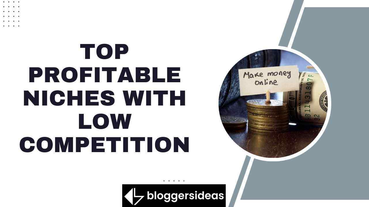 Top Profitable Niches With Low Competition