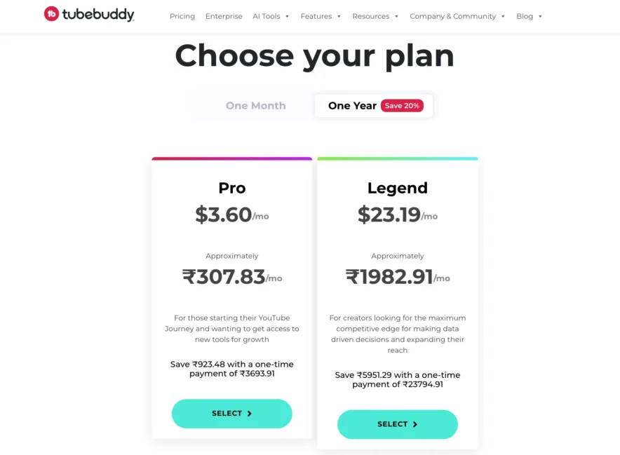 TubeBuddy Pricing Options - One Year