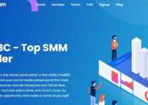 13 Best SMM Panels In India 2023: Which SMM Pan...