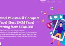 8 Best SMM Panel Providers In Pakistan 2023 Whi...