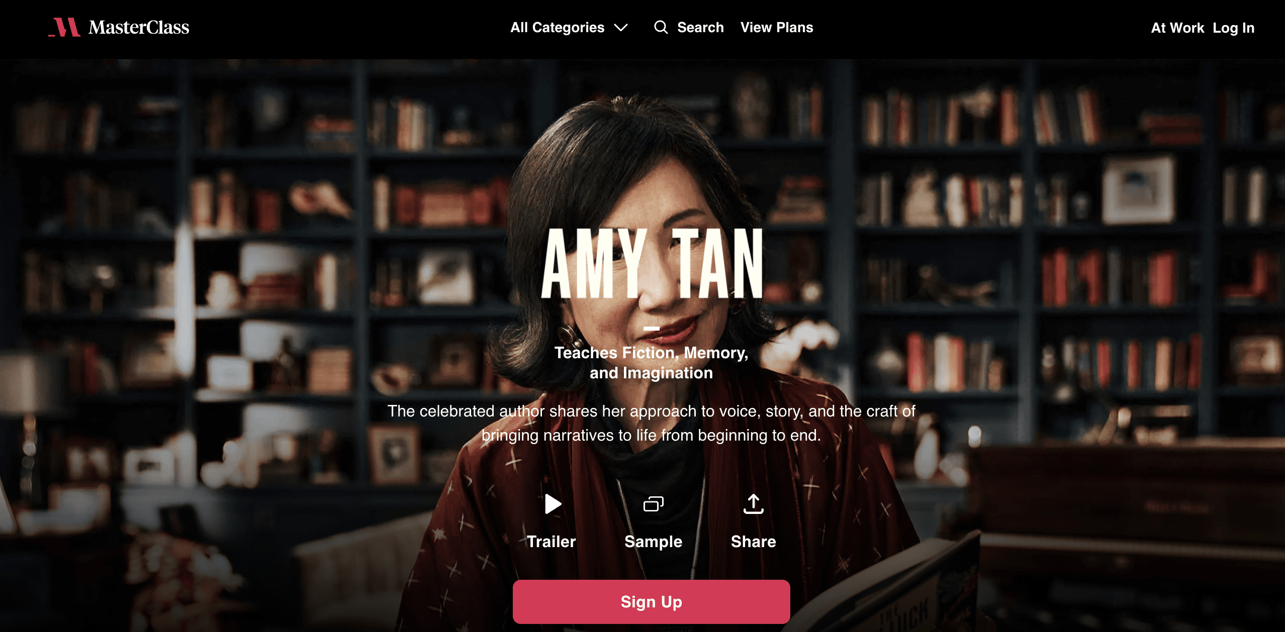 Amy Tan masterclass review