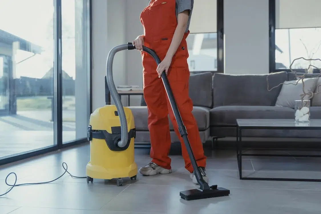 House Cleaner