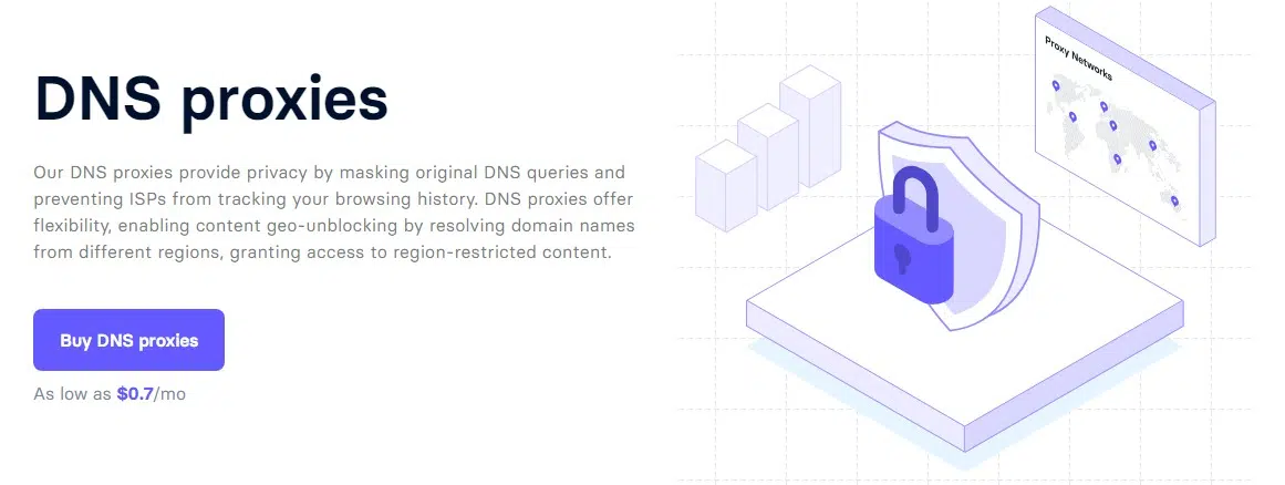 DNS Proxies
