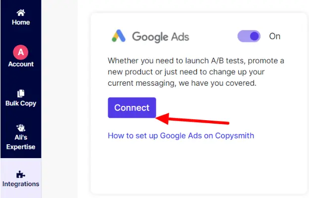 google ads integration