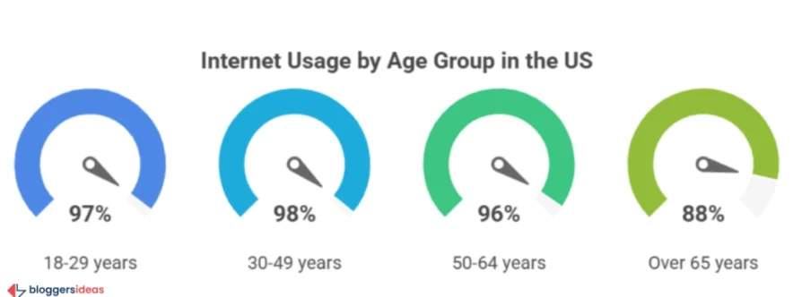 Gender and Age Demographics in Internet Usage