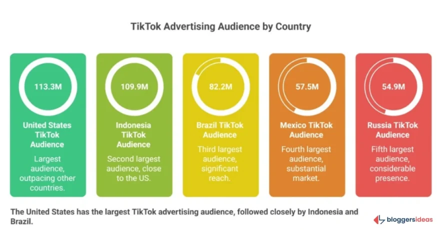 Ad Audience Demographics