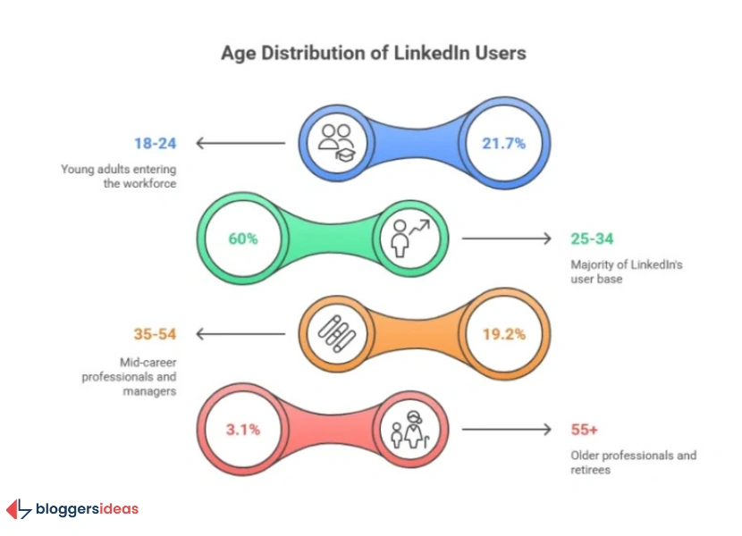LinkedIn Users: Gender & Age Demographics