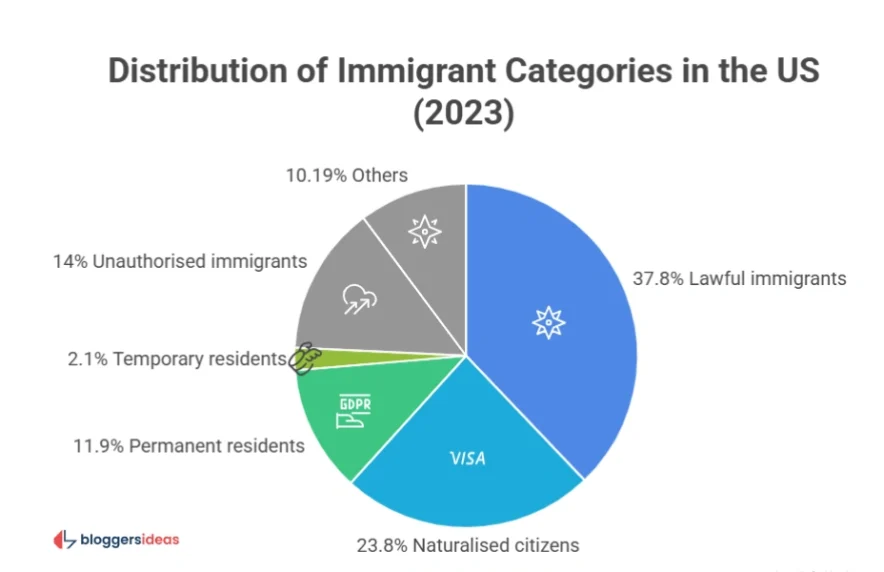 Immigration Status Breakdown