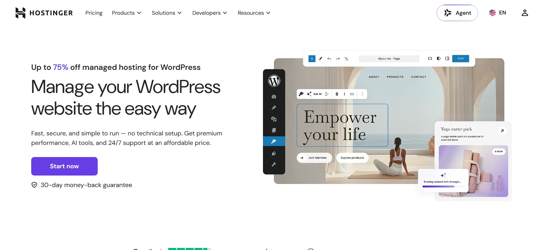 Hostinger Hosting WordPress