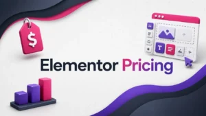 Analyse de la tarification Elementor BI